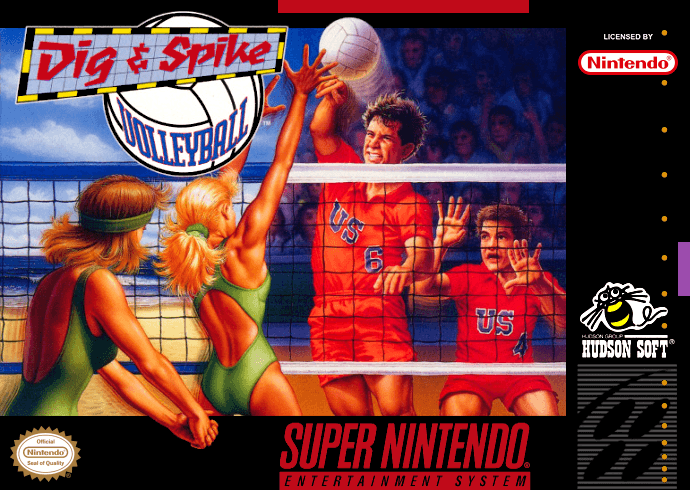 Dig & Spike Volleyball