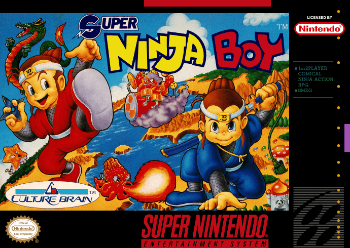 Super Ninja Boy